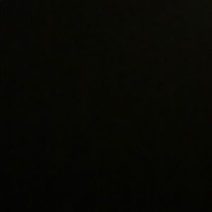 Meet your Posher, Molly